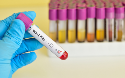 West Nile Virus: le raccomandazioni di AVIS ai donatori